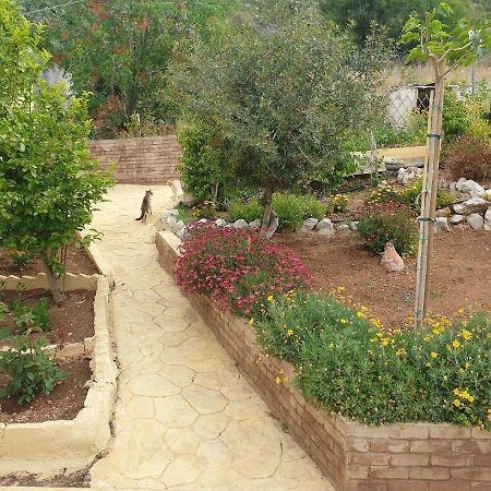 Villa Rania Loutraki Εξωτερικό φωτογραφία